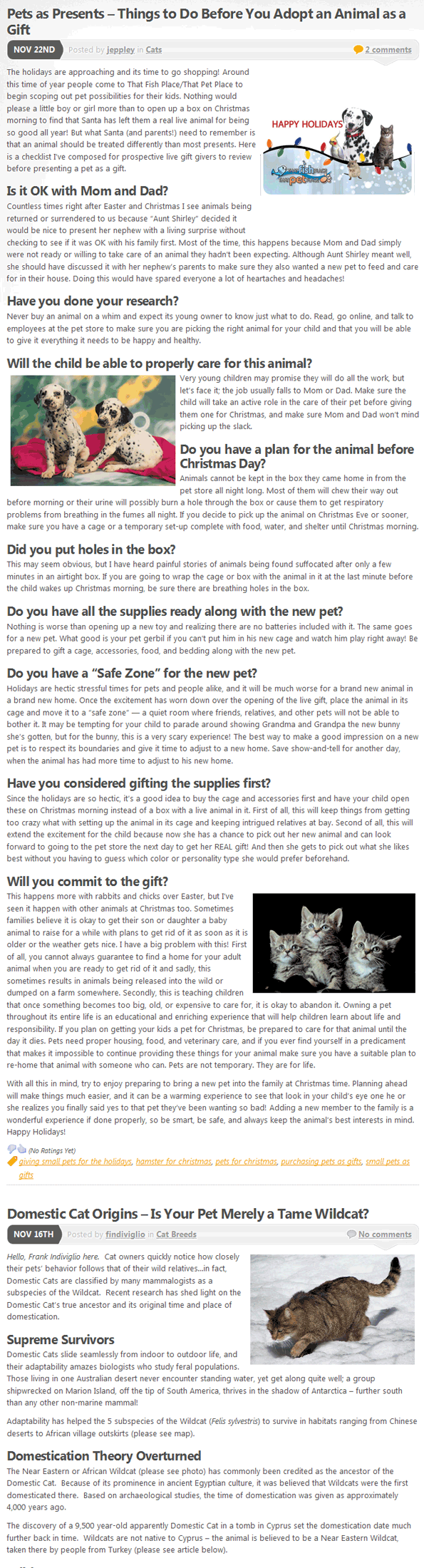 zen pets blog about pet tips and stories