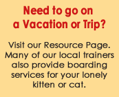 Cat boarding homes with trainers and love for your kitten or cat
